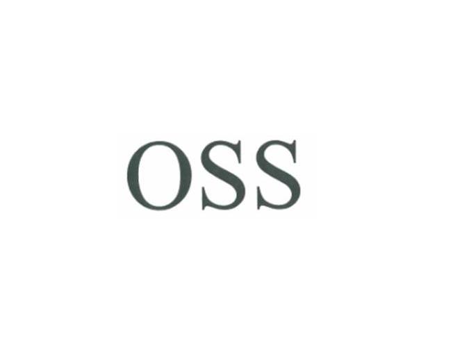 蓝云系统体系因为OSS更新问题维护1个小时